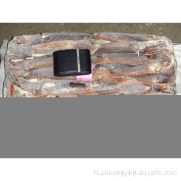 समुद्री भोजन जमे हुए इल्लेक्स Loligo Squid 100-200G 10glazing